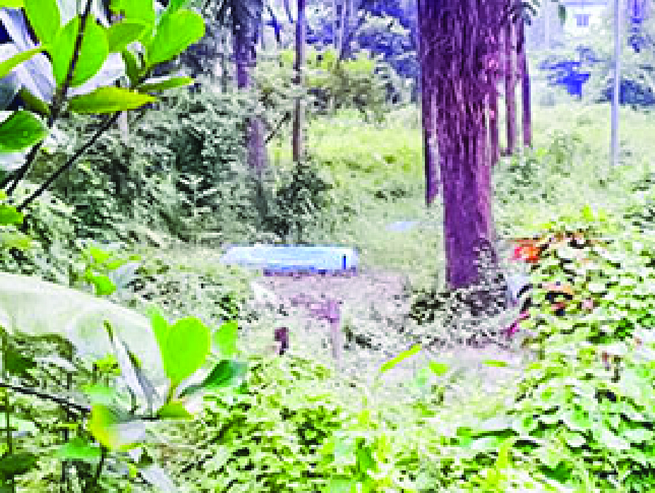 Image of মো: ইয়াসিন আলী শেখ